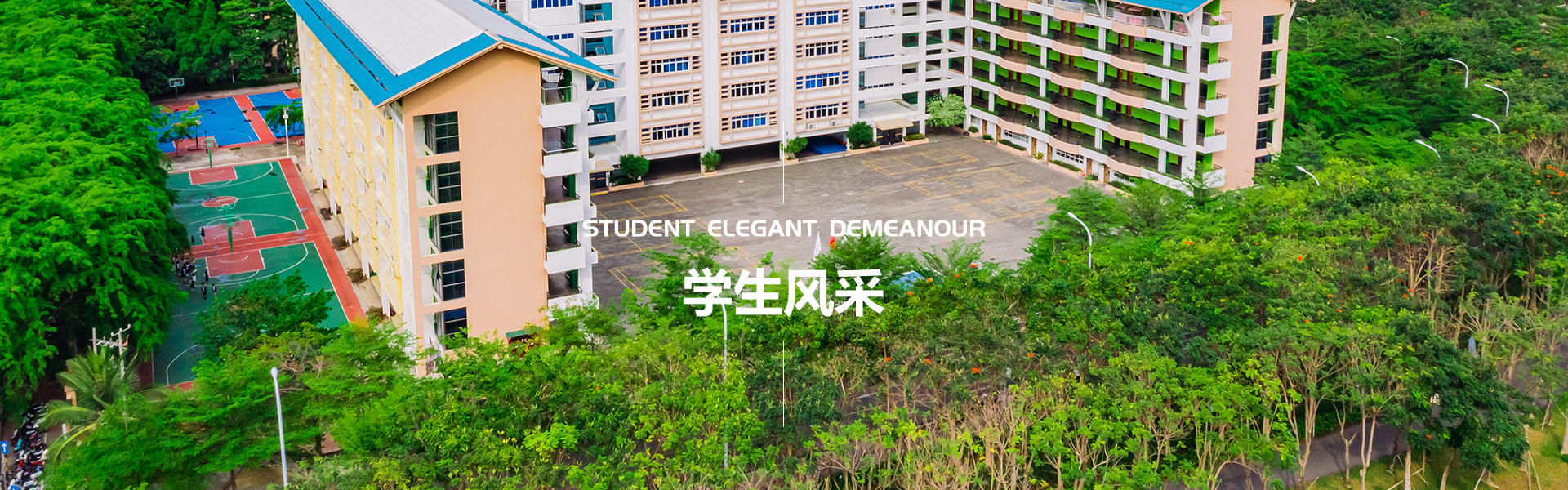 图片展示