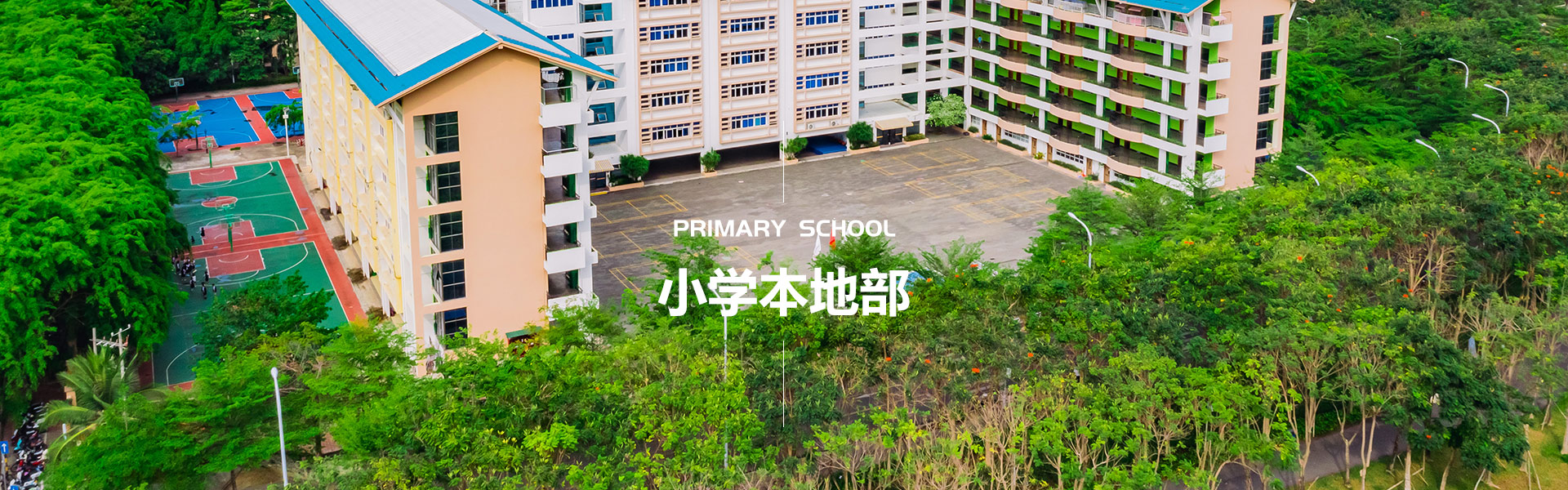 图片展示